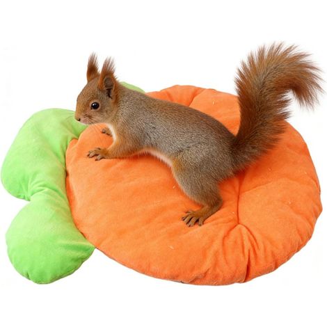 Plush Pet Cushion, Breathable Dog Pad, All‑Season Cat Mat, Comfortable Camping Travel Shelter Bedding, Warm Backyard Balcony RV Sofa Floor Accessory, Furniture Gear for Kennel, Home, Office (1/5)