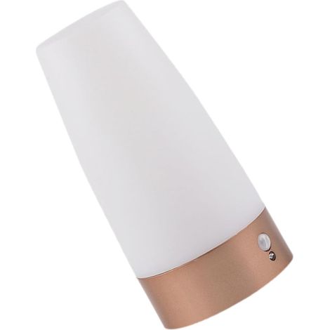 Veilleuse Détecteur de Mouvement Automatique LED Blanc Capteur, Éclairage 60 Lumens, Plastique Écoénergétique, pour Escaliers et Maison, Fonction Économie D'énergie (1/5)