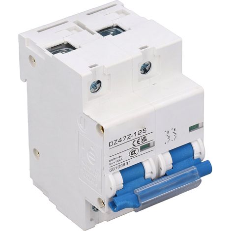 Disjoncteur miniature DC 2P 10kA 125A 600V, interrupteur d'isolement haute intensité pour panneaux solaires photovoltaïques et système réseau, D125 (1/5)