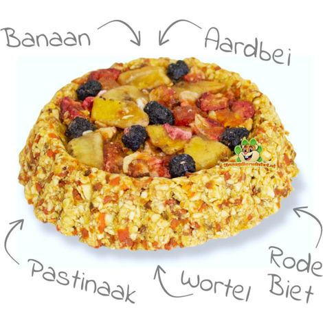 JR FARM Knuspriger Früchtekuchen - für alle Papageien 80g