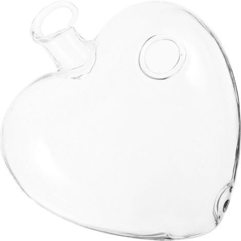 Kisangel Vase hydroponique suspendu en verre forme de cœur, pot fleurs, (1/5)