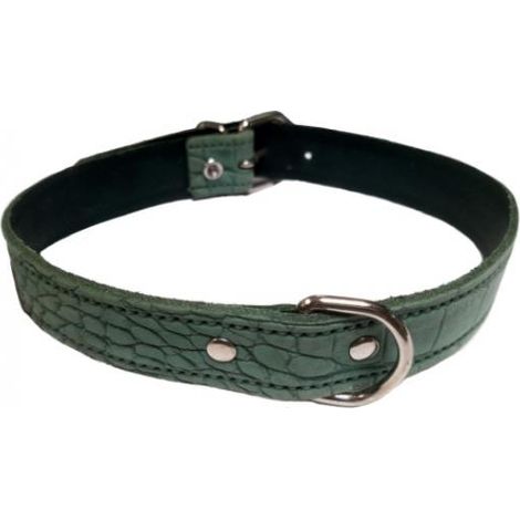COLLAR PIEL LABRADO 25X550mm.VERDE