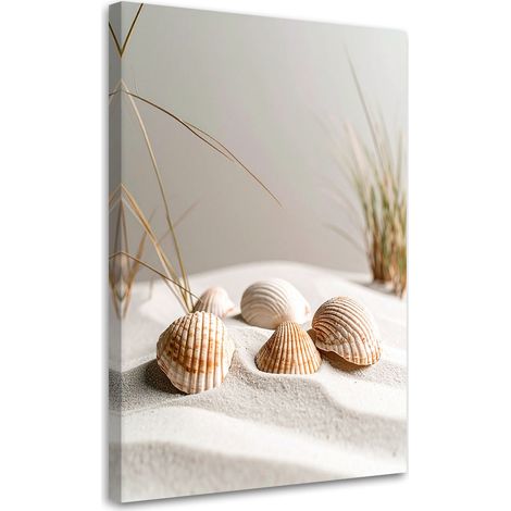 Wandbild Muscheln Strand Pflanzen Natur beige 40x60 cm