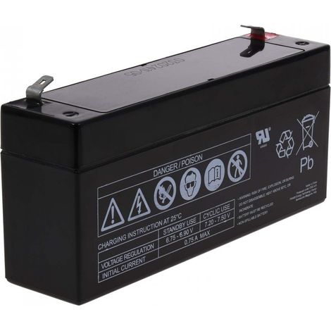 Batería Plomo AGM FIAMM FG10301 6V 3Ah (1/3)