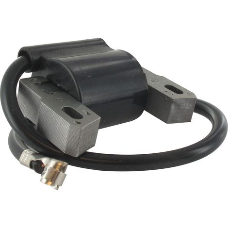 Bobine d'allumage pour BRIGGS ET STRATTON 590454 - 790817 - 799381
