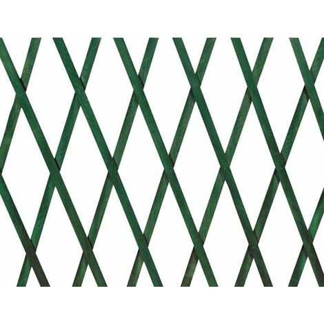 TRALICCI PLASTICA COLOR VERDE M. 3X1 (1/9)