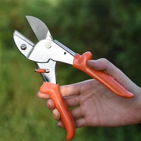 Gartenschere – Heckenschere – Gartenarbeit – SK5-Stahlklingen – Nicht spezifiziert – Chrom (1/5)