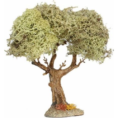 ARBOL CON MUSGO