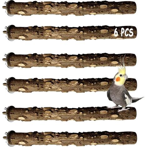 Ensemble de 6 perchoirs en bois naturel pour perruches, perruches ondulées, conures, aras, pinsons et inséparables. Comprend des perruches à griffes, des bâtonnets épineux et des supports pour griffer