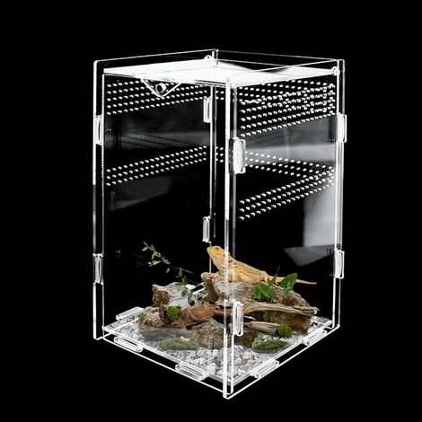 Terrarium Acrylique pour Reptiles et Insectes (1/2)