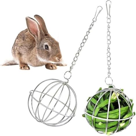 2 Pièces Hamster Boule De Foin, Animaux Boule de Foin, pour L'alimentation des Lapins, Cobayes, Hamsters (1/5)