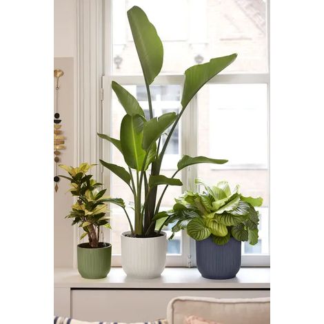 Vaso Elho Vibes Fold Round 18 cm – Design Moderno per la Tua Casa - Colore: Antracite