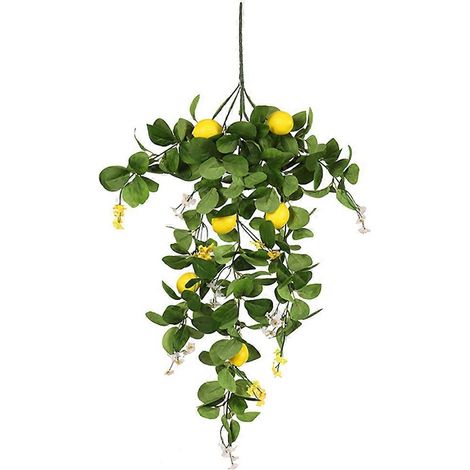 Branche de citronnier artificielle décorative pour la maison, avec feuilles vertes, faux bouquet de citrons-80x18cm-Green (1/4)
