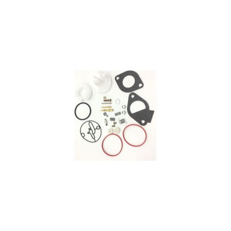 Ede S-giant Vente en gros transfrontalière : Kit de réparation de carburateur compatible avec Briggs & Stratton (796184)79608179072).