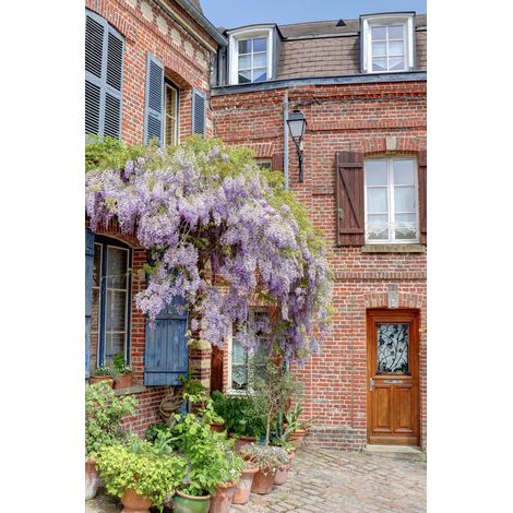 Tableau sur toile maison Glycine Amiens 45x65 cm - Impression sur Toile Murale Décorative - Image imprimée en HD sur Toile - Toile sur Châssis en Bois FSC - Fabriqué en France (1/5)