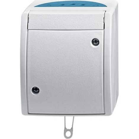 [NEUWERTIG] B-Ware Abb Schalter Taster Lichtschalter Wechselschalter Zugschnur Ip44 Lichtgrau Blau
