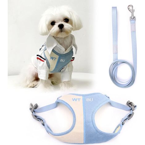 Ensemble harnais et laisse pour petit chien (XS, bleu clair)