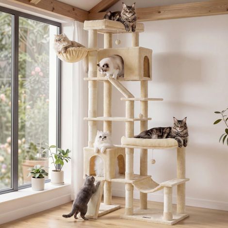 Arbre à Chat XXL, 6 Niveaux, Poteaux Sisal, 105 x 45 x 202 cm (1/5)