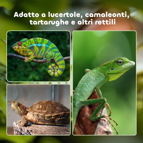 Terrarium noir 60x40x40,5 cm pour tortues terrestres et reptiles, thermomètre inclus 18-34°C