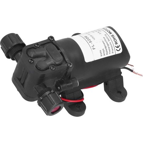 12V 36W 5206 Hochdruck-Wasserpumpe Mikromembran-Doppelgewindepumpe für Landwirtschaftsspritzen (Modell FL-5206, Rechtsseitiger Bilateraler Auslass) (1/5)