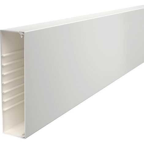 OBO Bettermann Canalina da parete e soffitto con foratura sul fondo 60x230x2000 Polivinilcloruro bianco puro RAL 9010, 6191274