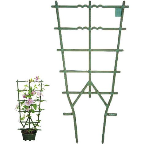 Cadre pour plantes grimpantes vert, longueur 35 cm, hauteur 82 cm