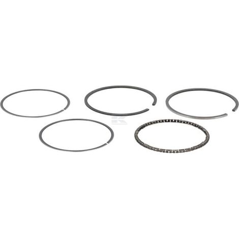 Ensemble de bagues BRIGGS & STRATTON 493782