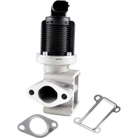 EGR Valve 46823850, 55194735, 71788619 for Astra, Vectra (1/5)