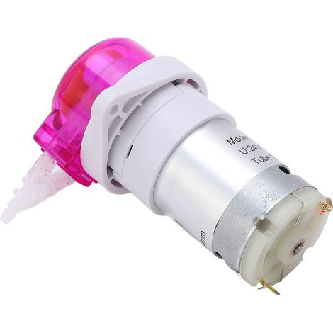 Pompe péristaltique pour liquides 24 V CC, petite pompe doseuse haute efficacité pour analyses biochimiques expérimentales, 2 x 4 mm / 0,08 x 0,16 po, 58 ml/min (1/5)