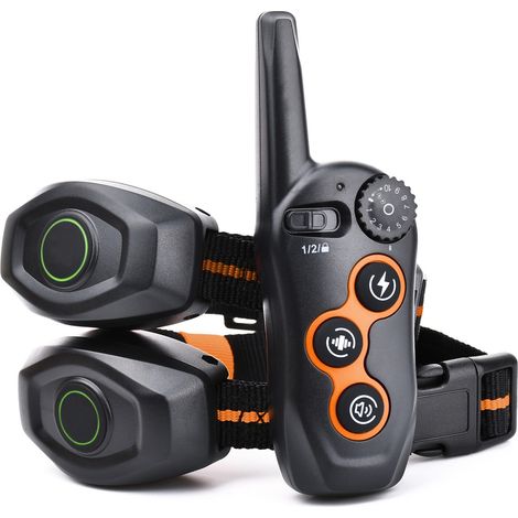 Collier d'éducation pour chien, collier électrique étanche IPX7 avec télécommande (portée de 400 m), 3 modes d'entraînement (bip, stimulation électrique, vibration)