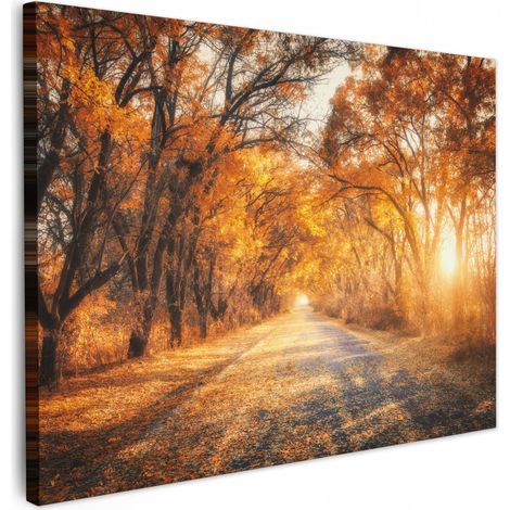 CUADRO EN LIENZO Bosque - Otoño - Árboles - Senda forestal - Naturaleza Lienzo Modernos 80x60 cm