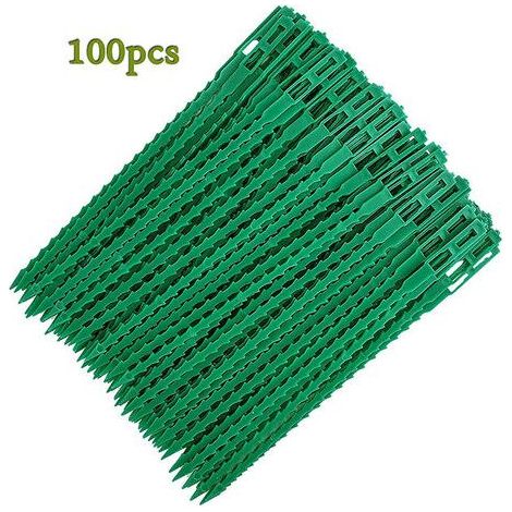 Attaches réglables pour plantes lot de 100 - Liens de serrage en plastique pour jardin - Serre câbles réutilisables pour plantes vertes et arbustes,13cm (1/4)