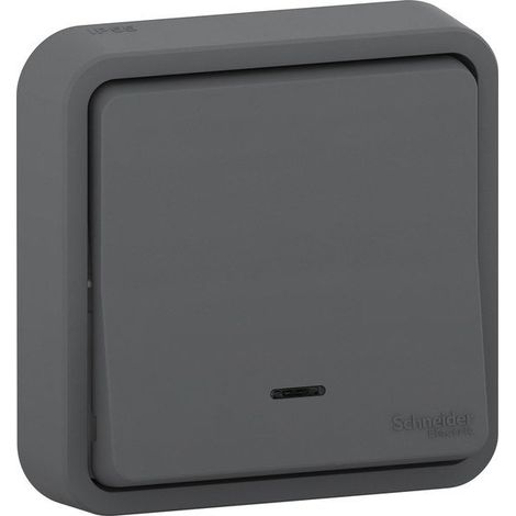 Mureva Styl pulsante luminoso impermeabile completo, SCHNEIDER ELECTRIC, antracite SCHNEIDER ELECTRIC