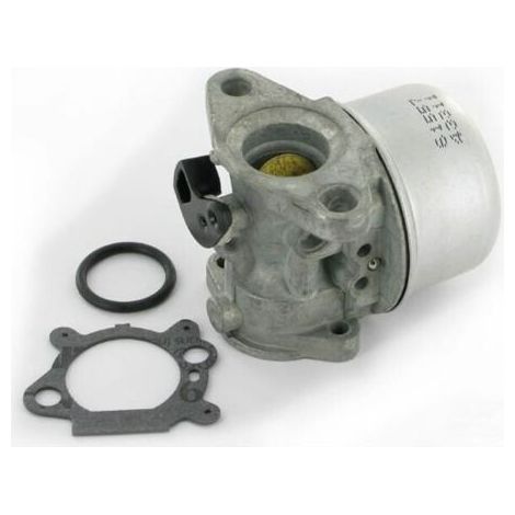 Carburetor 498170 - 799868--BIEMMEDUE (1/4)