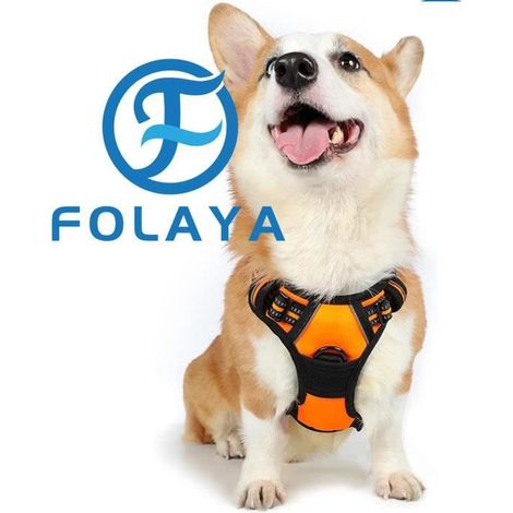 Harnais Chien M Arnais Orange Anti Traction Réfléchissant Gilet Réglable pour Chien, Attache Devant Crochet de Laisse pour Randonnée (1/4)