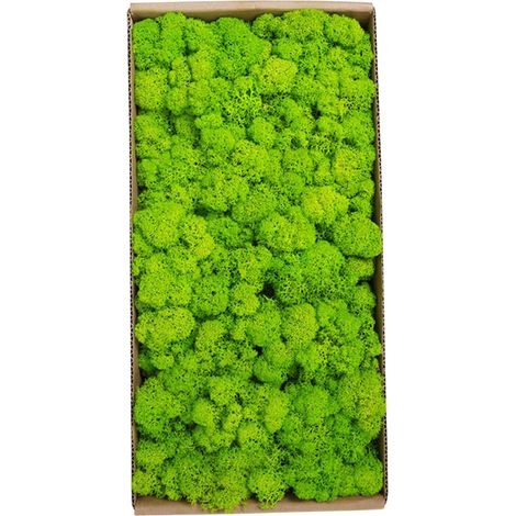 Eosnow Muschio conservato Gardenning Art Wall Decor Bulk Micro Paesaggio Oggetti di scena decorativi (1/5)