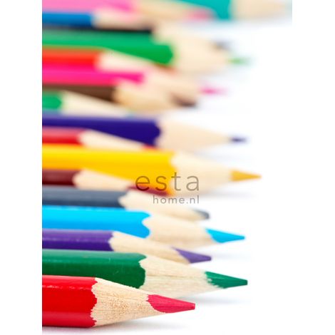 papier peint panoramique crayons colorés multicolore  - ESTAhome (1/5)