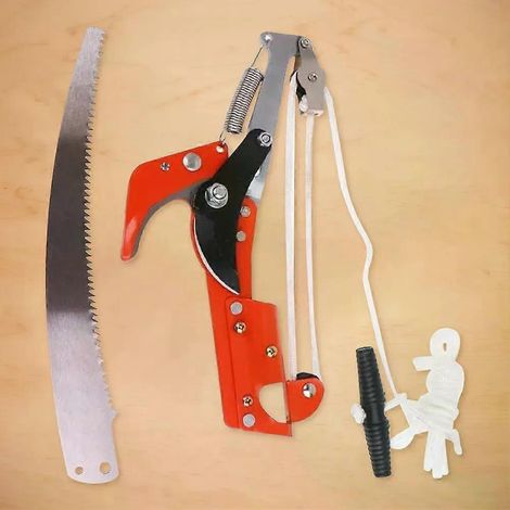 Sécateur à rallonge pour grande hauteur, cisaille à branches extensible pour arbres fruitiers, outil de coupe pour cueillette de fruits de jardin - JXLGV (1/5)