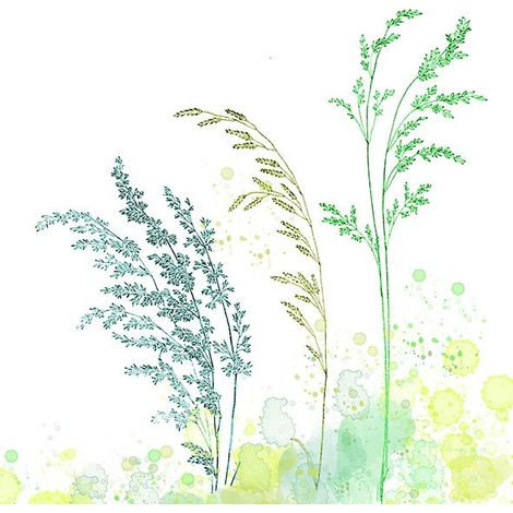 Braun & Company Servietten Motiv Green Breeze 33 x 33 cm - 20er Pack Partydekoration