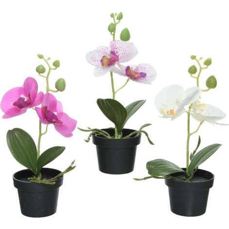 Kaemingk Orchidea Artificiale in Vaso - Assortiti - 13x10x25 cm