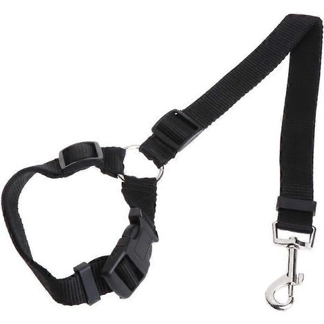 Laisse élastique universelle antichoc pour chien et chat, compatible avec les ceintures de sécurité et les harnais de voyage. Tourne librement. (1/5)