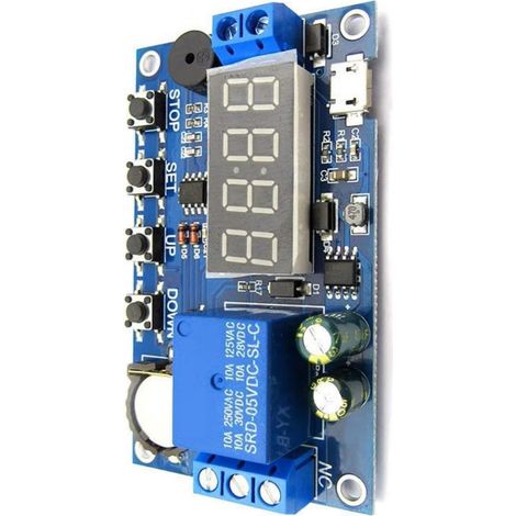 Module de relais temporisé programmable 5V-30V avec affichage LED (1/5)