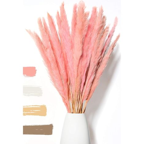 Hierba de la pampa seca y esponjosa, 15 piezas - Flores secas - Natural, duradera y fácil de limpiar - Decoración elegante (1/5)