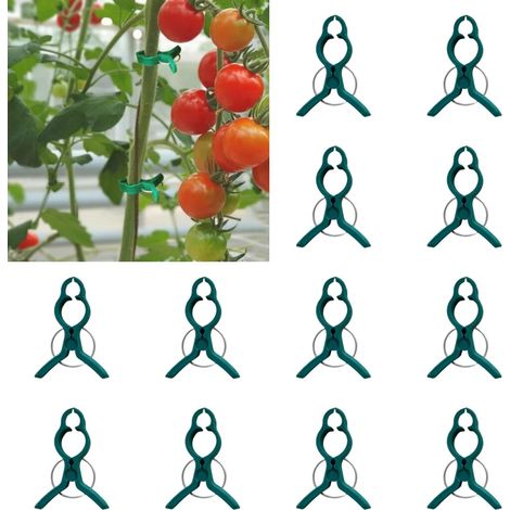 Lot de 12 clips pour plantes — Clips de jardinage en plastique, clips de support et clips pour plantes grimpantes, pour fixer tiges et lianes (Vert, Grand modèle) (1/3)