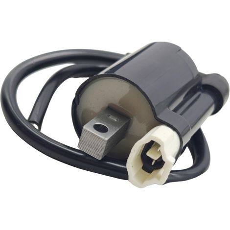 Bobine haute tension pour moto CBR-1000R, bobine d'allumage OE : 129700-4840. (1/2)