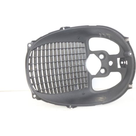 GRILLE RADIATEUR PIAGGIO XEVO - X EVO 125 2007 - 2017 (1/4)