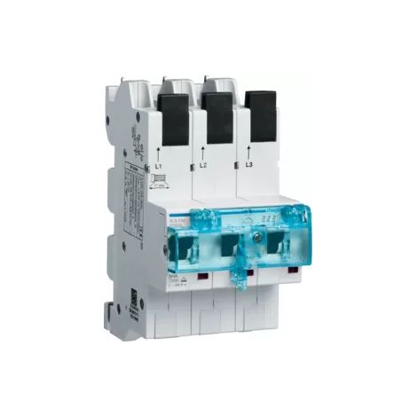 Hager SLS-Schalter 3P E-50A Sammelschiene QC HTS350E (1/4)