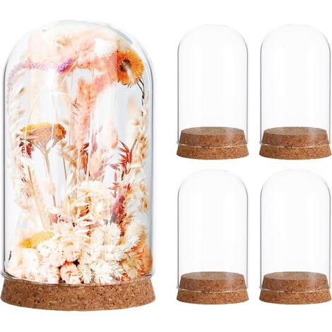 5pièces Cloche Verre Transparente Lot de Couvercles pour Micro-Paysage Fleurs Éternelles Objet Décoratif (1/5)
