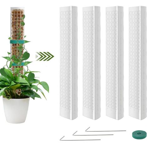 Tuteur Plante en Plastique,4pcs Tuteur Monstera, Tuteurs Plante Grimpante, Poteaux en Mousse Transparent,Poteaux Grimpantes pour Maison Jardin de Support de Plantes (1/5)