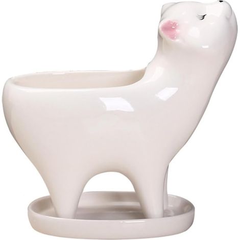 Pot de Fleurs Succulentes de Chat en Céramique pour Décoration Intérieure et Bureau, Compact, Solide, Original et Créatif pour Plantes Succulentes (1/5)